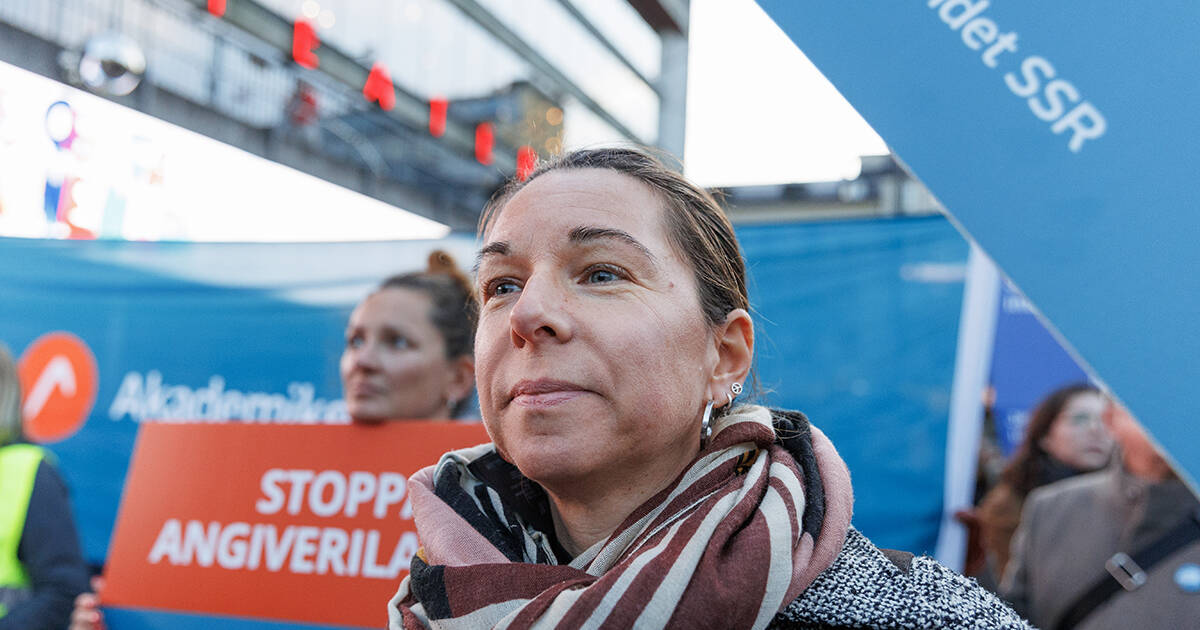 Demonstrationsbild