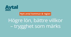 Web trygghet som märks.png