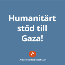 Skärmavbild 2025-08-01 kl. 11.51.09.png