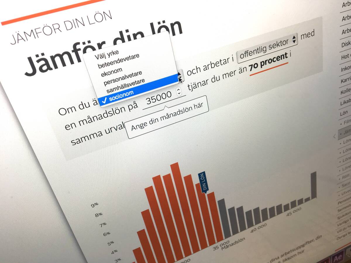 Bild av en datorskärm som visar staplar på lönestatistik.